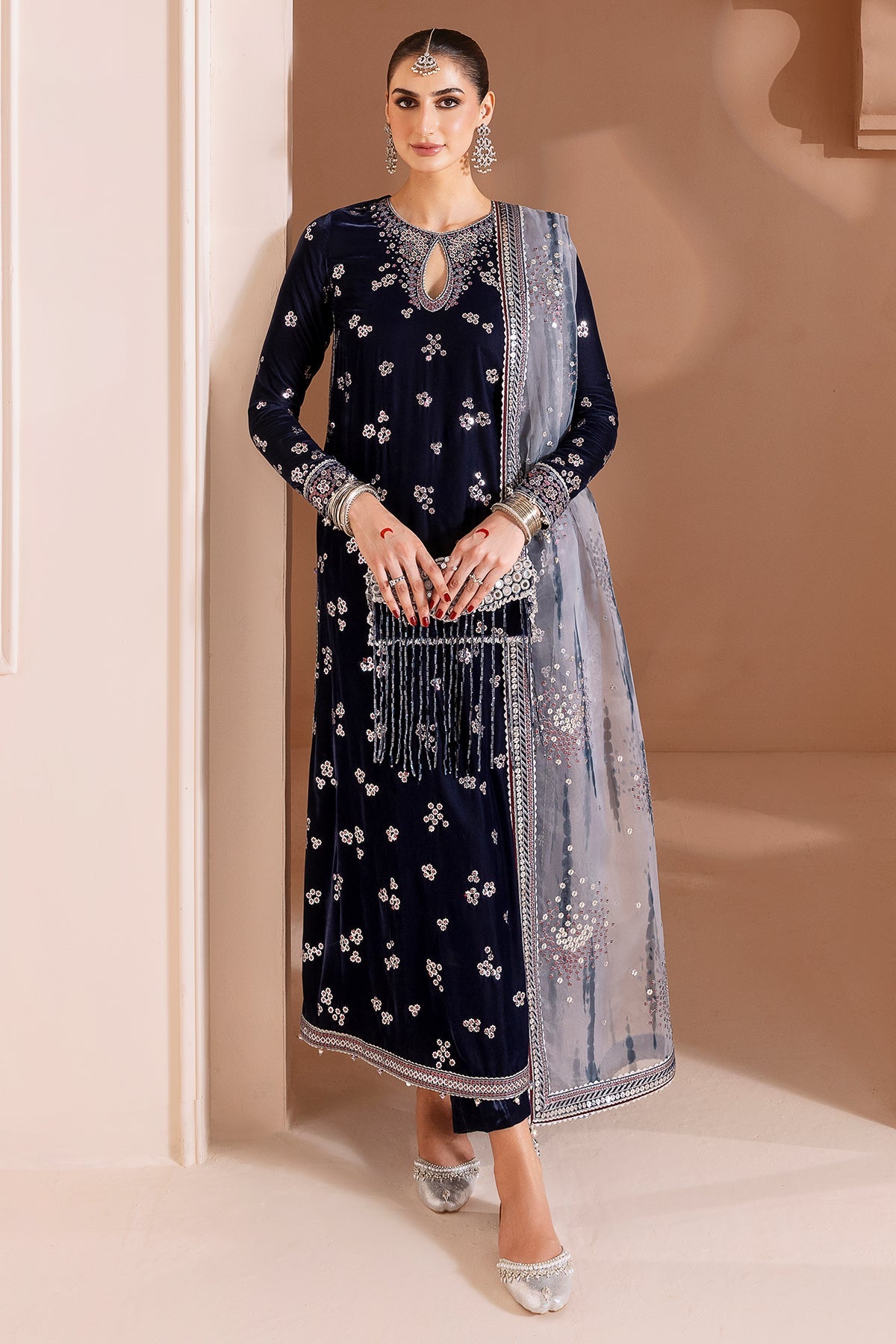 Embroidered Velvet Formal CVF25-D03