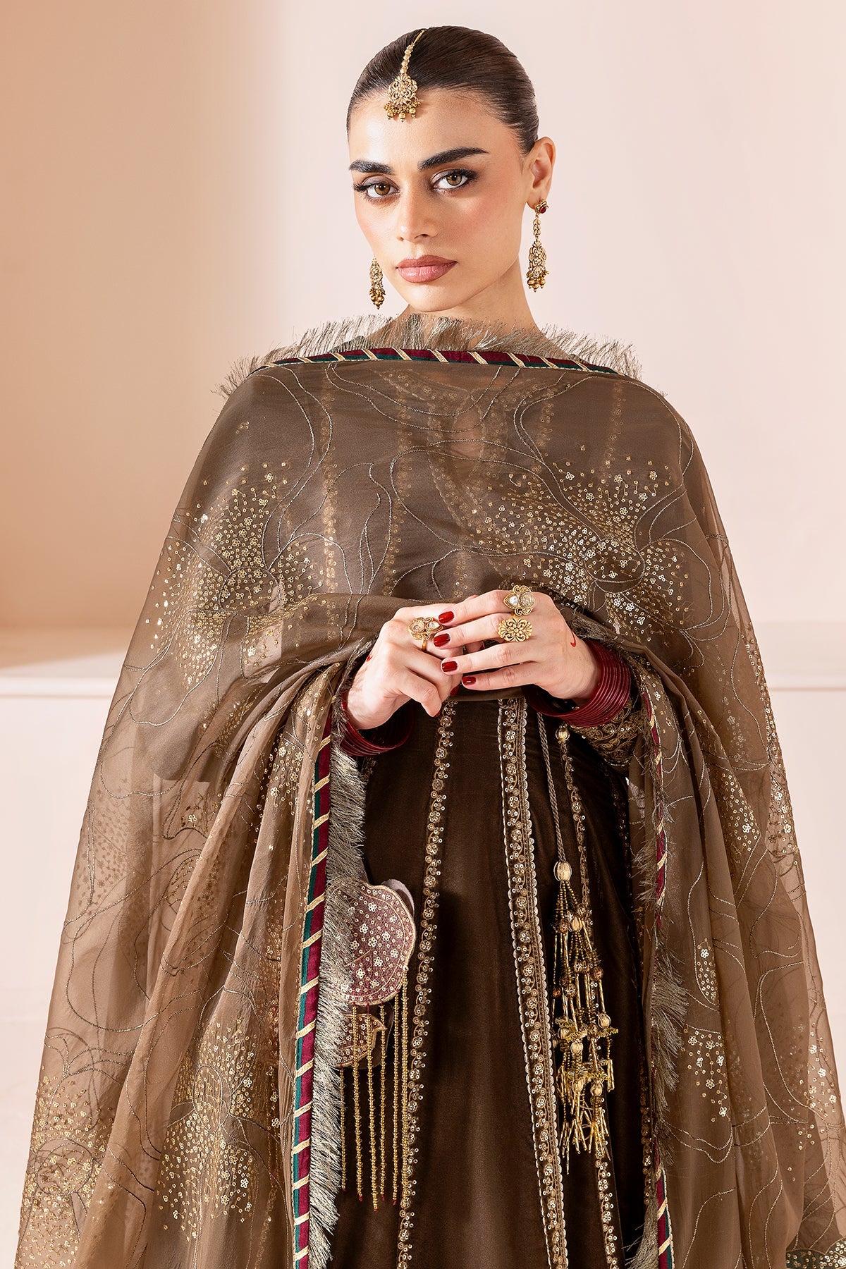 Embroidered Velvet Formal CVF25-D04
