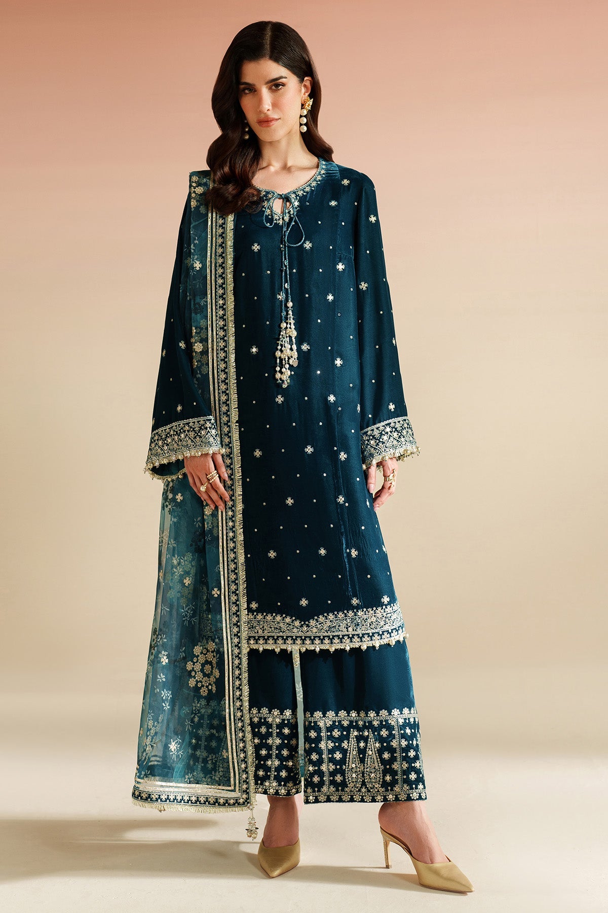 Embroidered Velvet Formal VVF25-D02