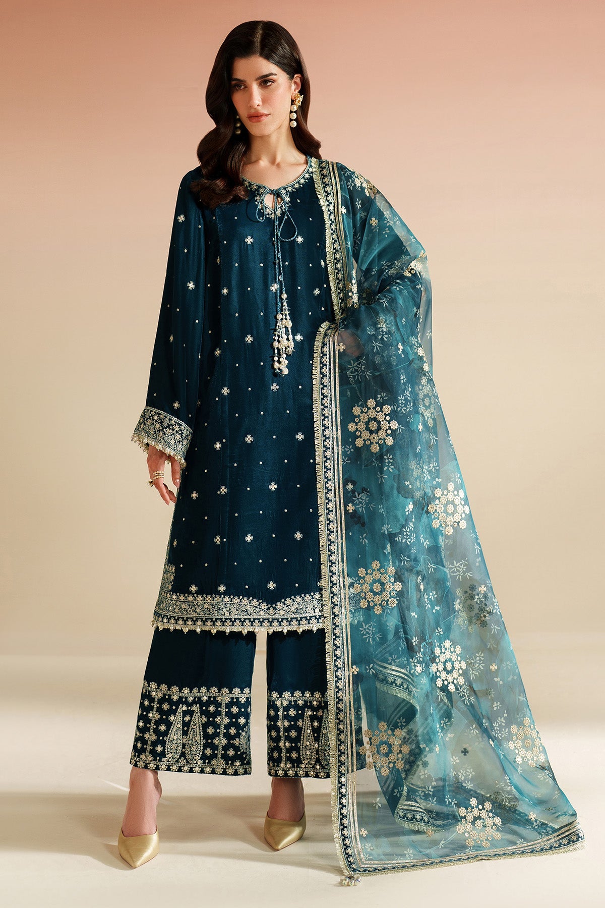 Embroidered Velvet Formal VVF25-D02