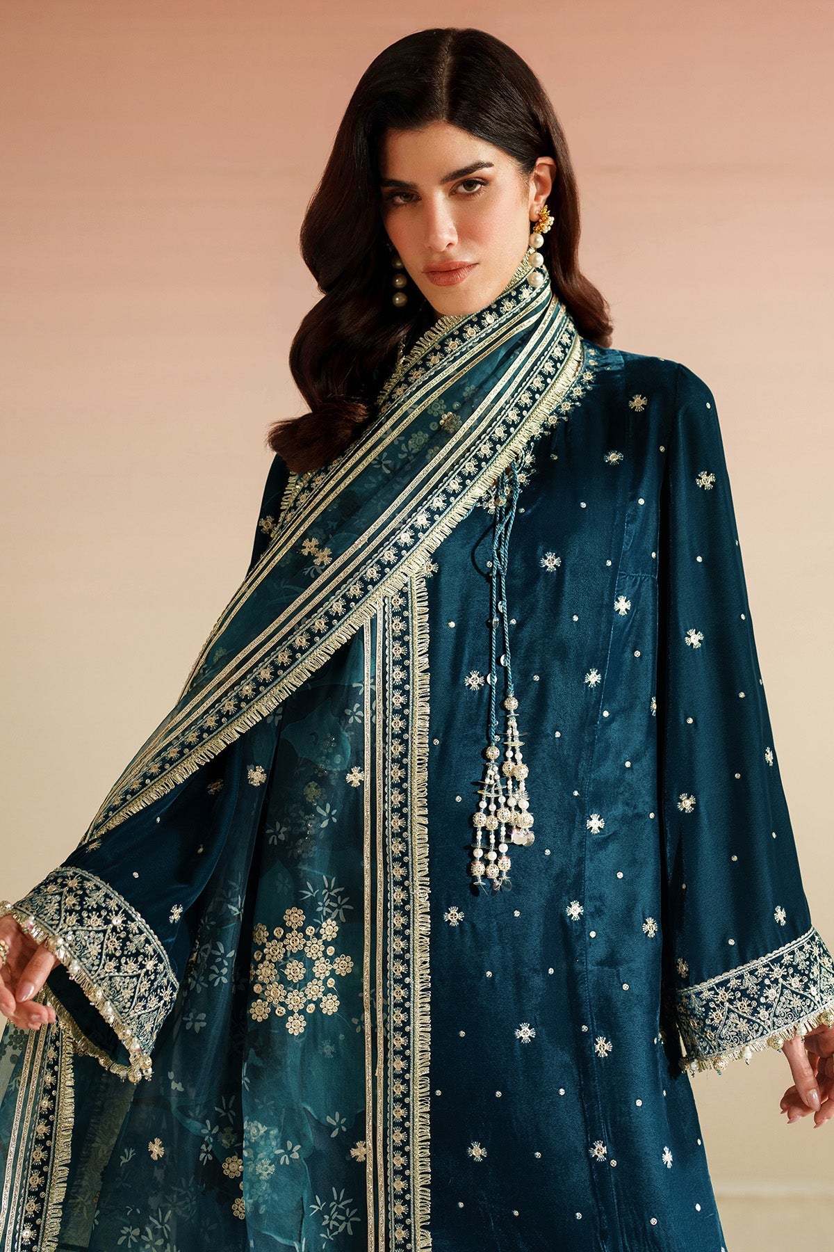 Embroidered Velvet Formal VVF25-D02